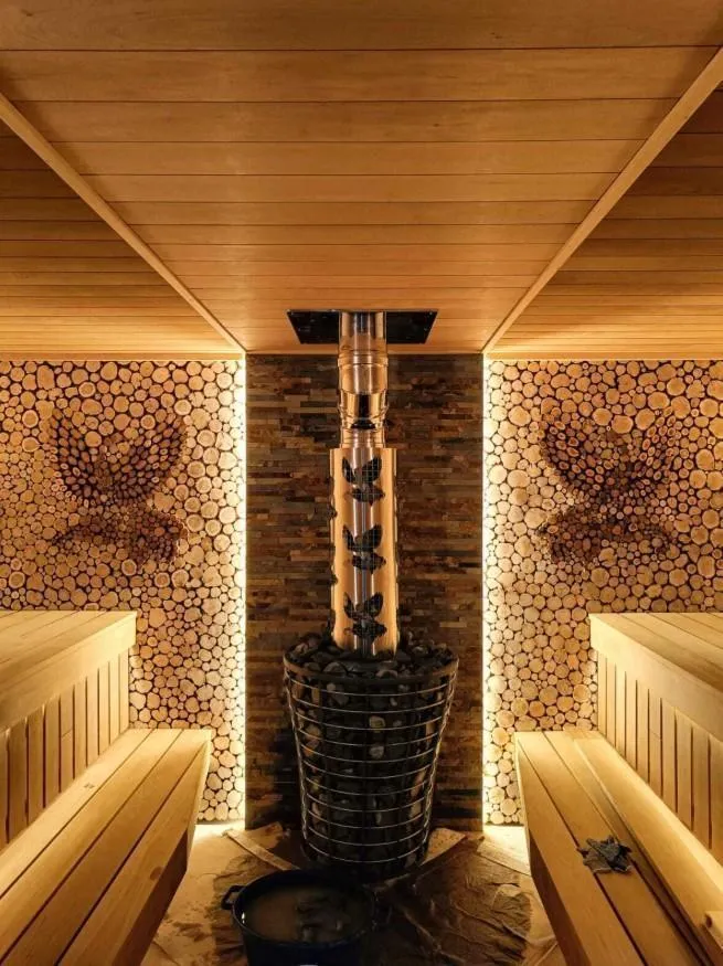 Чугунная банная печь Атмосфера V сетка нержавейка