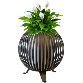 Кашпо Алиот