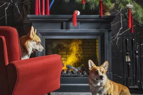 Портал Dimplex Coventry - Белый / Кирпич